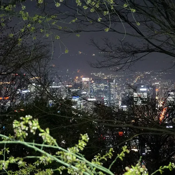 시그니처 예리스파 마사지 안내 이미지
