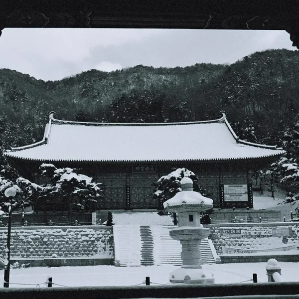 시그니처 지효스튜디오 마사지 대표 안내 이미지